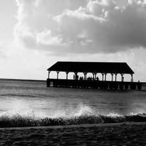 miami รูปแบบสแกตเตอร์ ชนะต่อเนื่อง